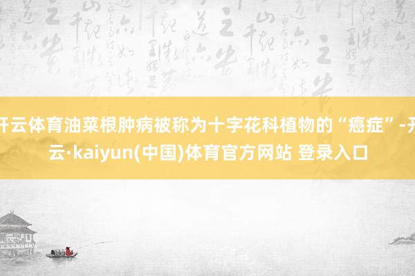 开云体育油菜根肿病被称为十字花科植物的“癌症”-开云·kaiyun(中国)体育官方网站 登录入口