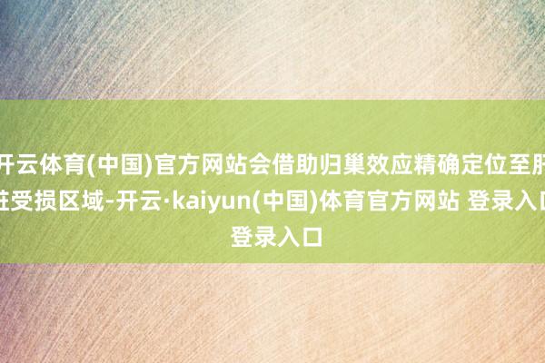 开云体育(中国)官方网站会借助归巢效应精确定位至肝脏受损区域-开云·kaiyun(中国)体育官方网站 登录入口