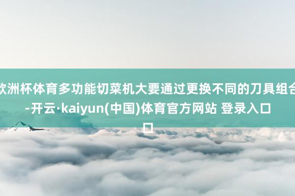 欧洲杯体育多功能切菜机大要通过更换不同的刀具组合-开云·kaiyun(中国)体育官方网站 登录入口