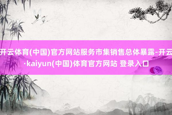 开云体育(中国)官方网站服务市集销售总体暴露-开云·kaiyun(中国)体育官方网站 登录入口