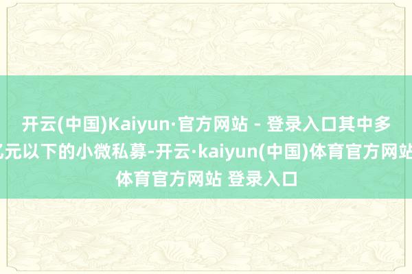 开云(中国)Kaiyun·官方网站 - 登录入口其中多为领域5亿元以下的小微私募-开云·kaiyun(中国)体育官方网站 登录入口