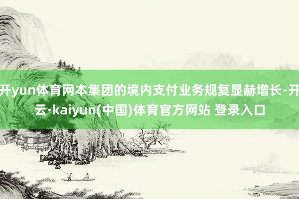 开yun体育网本集团的境内支付业务规复显赫增长-开云·kaiyun(中国)体育官方网站 登录入口