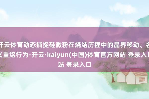 开云体育动态捕捉硅微粉在烧结历程中的晶界移动、名义重熔行为-开云·kaiyun(中国)体育官方网站 登录入口