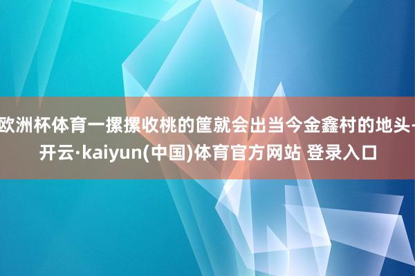欧洲杯体育一摞摞收桃的筐就会出当今金鑫村的地头-开云·kaiyun(中国)体育官方网站 登录入口
