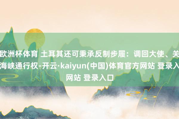 欧洲杯体育 土耳其还可秉承反制步履：调回大使、关闭海峡通行权-开云·kaiyun(中国)体育官方网站 登录入口