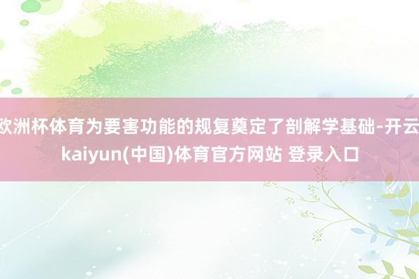欧洲杯体育为要害功能的规复奠定了剖解学基础-开云·kaiyun(中国)体育官方网站 登录入口