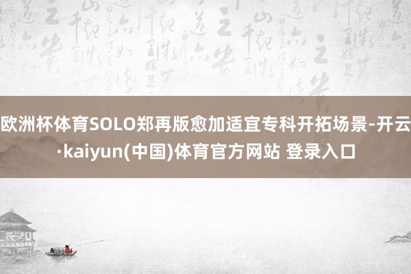 欧洲杯体育SOLO郑再版愈加适宜专科开拓场景-开云·kaiyun(中国)体育官方网站 登录入口