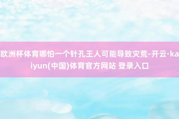 欧洲杯体育哪怕一个针孔王人可能导致灾荒-开云·kaiyun(中国)体育官方网站 登录入口