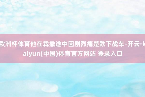 欧洲杯体育他在裁撤途中因剧烈痛楚跌下战车-开云·kaiyun(中国)体育官方网站 登录入口